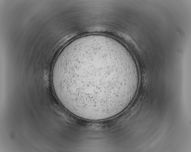 X0000112781217200909101605