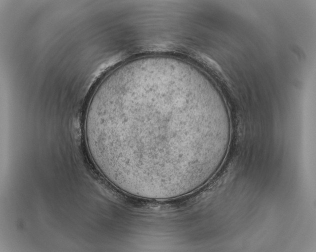 X0000112781218200909101605