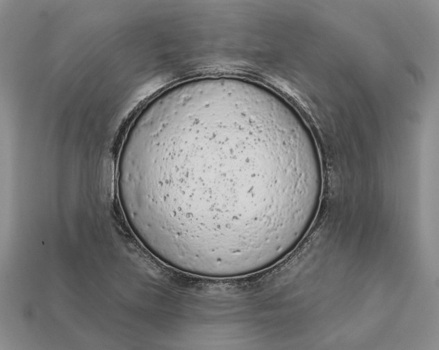 X0000112781219200909101605