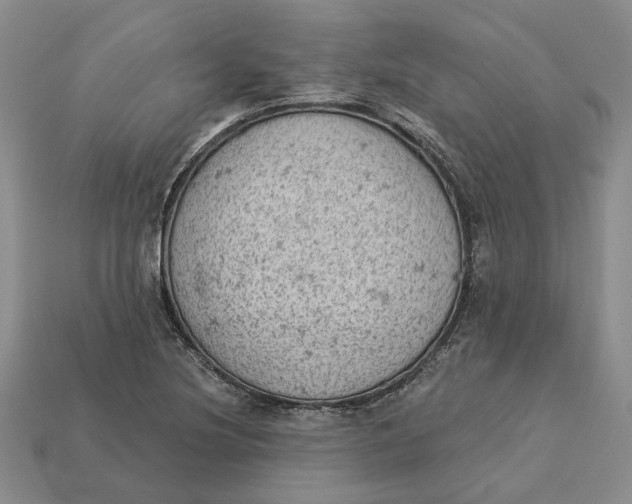 X0000112781220200909101605