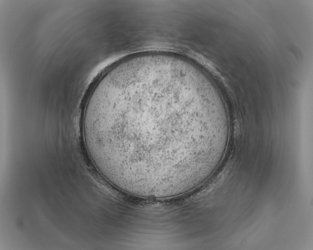 X0000112781222200909101605