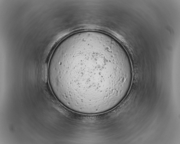 X0000112781223200909101605