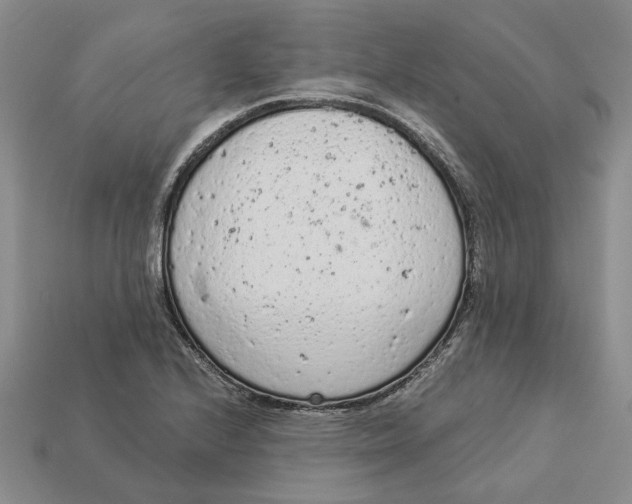 X0000112781224200909101605