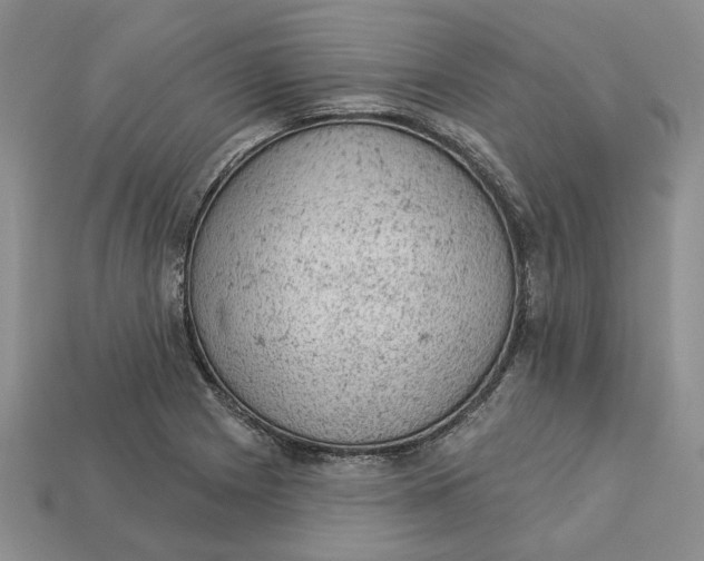 X0000112781225200909101605