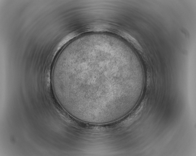 X0000112781226200909101605