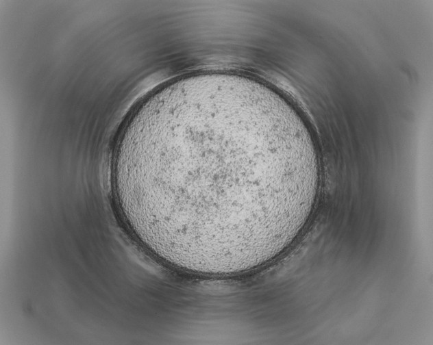 X0000112781227200909101605