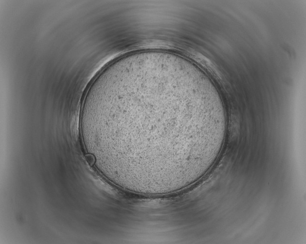 X0000112781228200909101605