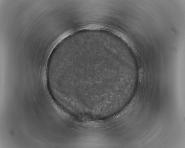 X0000112781229200909101605