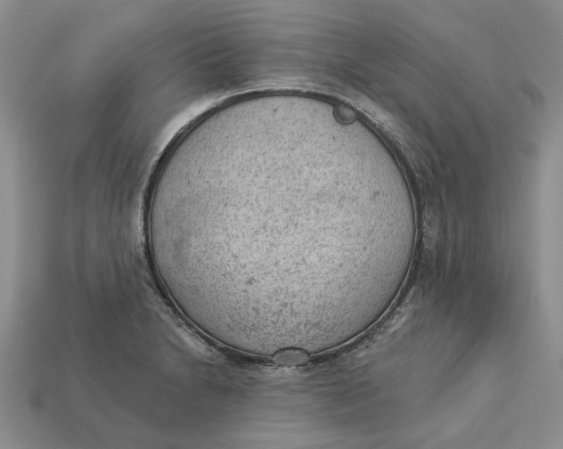 X0000112781230200909101605