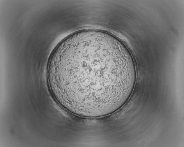 X0000112781231200909101605