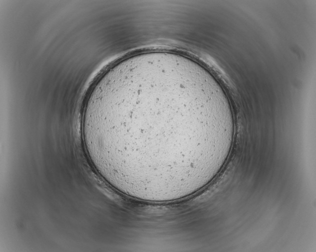 X0000112781232200909101605