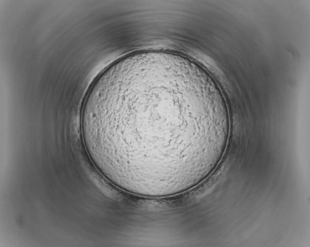 X0000112781234200909101605