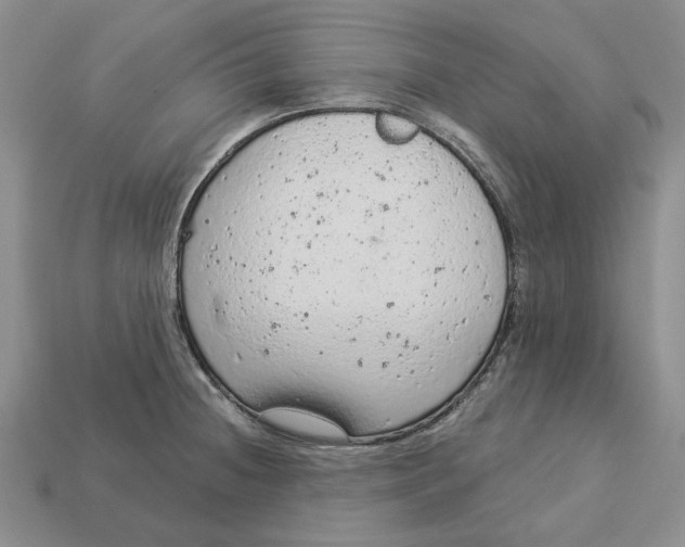 X0000112781236200909101605