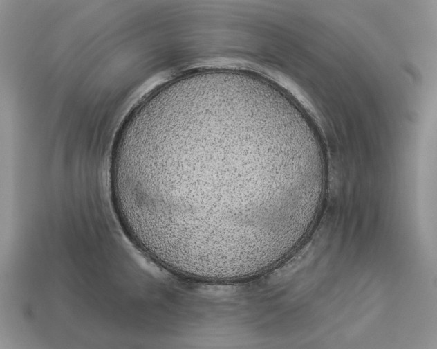 X0000112781237200909101605