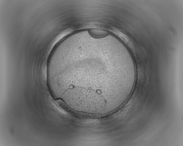 X0000112781238200909101605