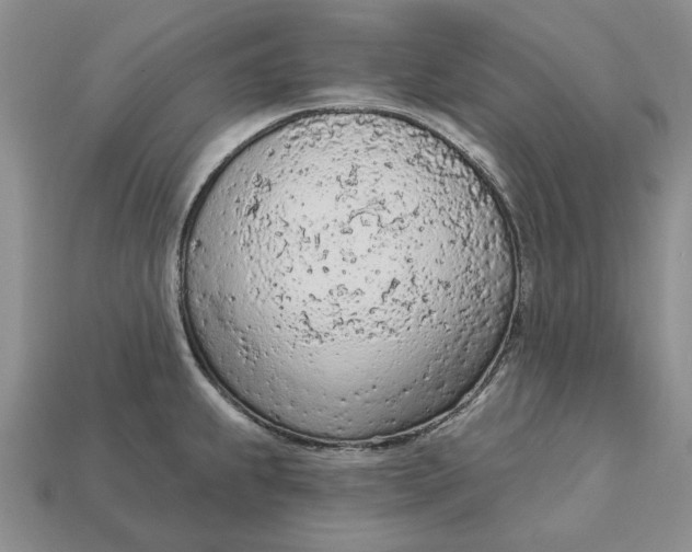 X0000112781239200909101605