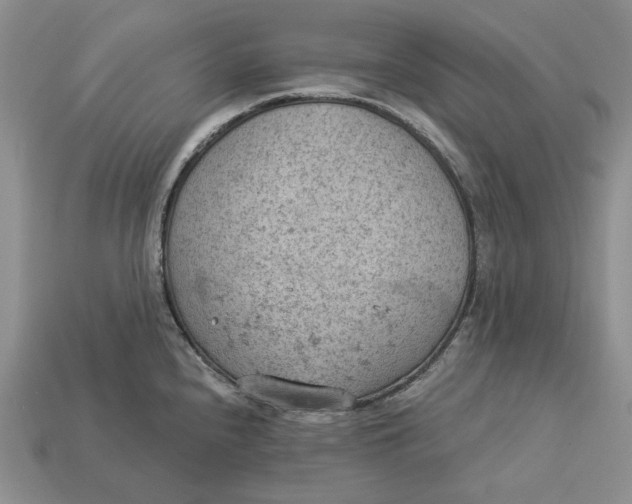 X0000112781240200909101605