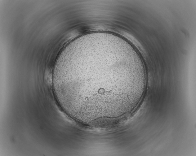 X0000112781241200909101605