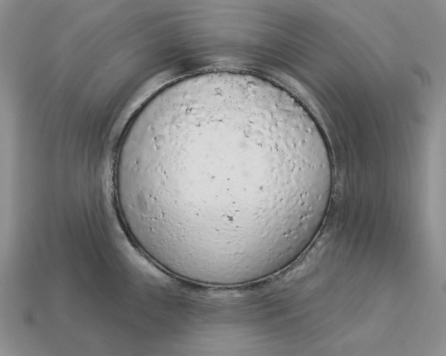 X0000112781243200909101605