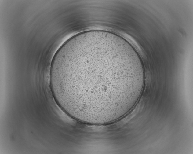 X0000112781244200909101605