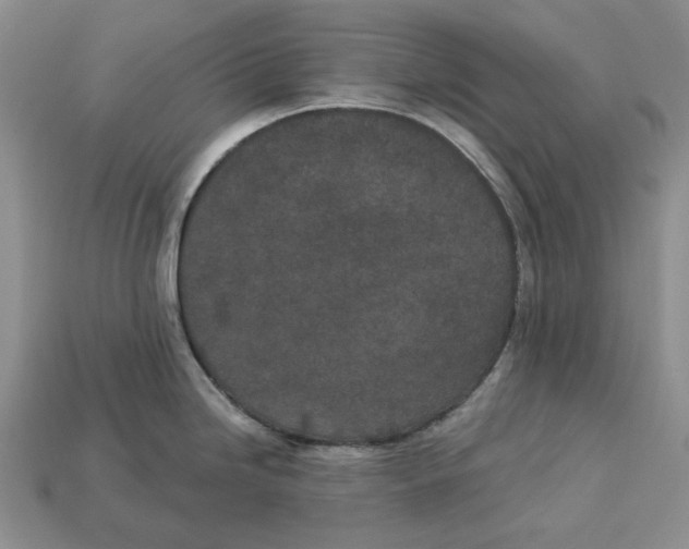 X0000112781246200909101606