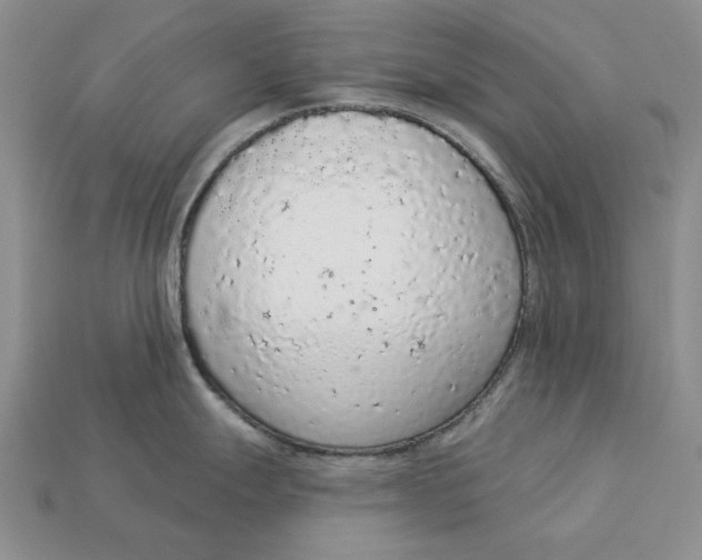 X0000112781247200909101606