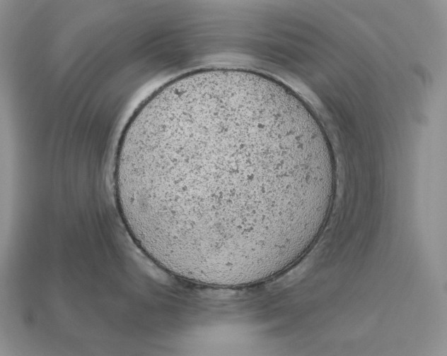 X0000112781248200909101606