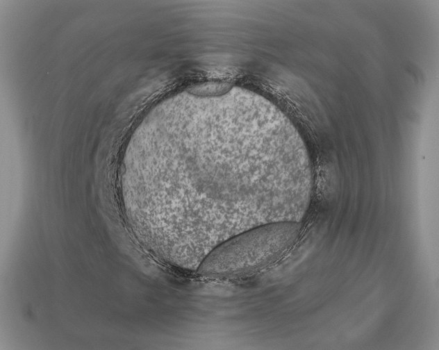 X0000112781249200909101605