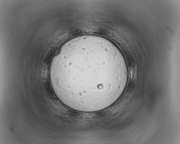 X0000112781251200909101605