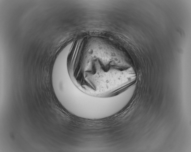 X0000112781252200909101605