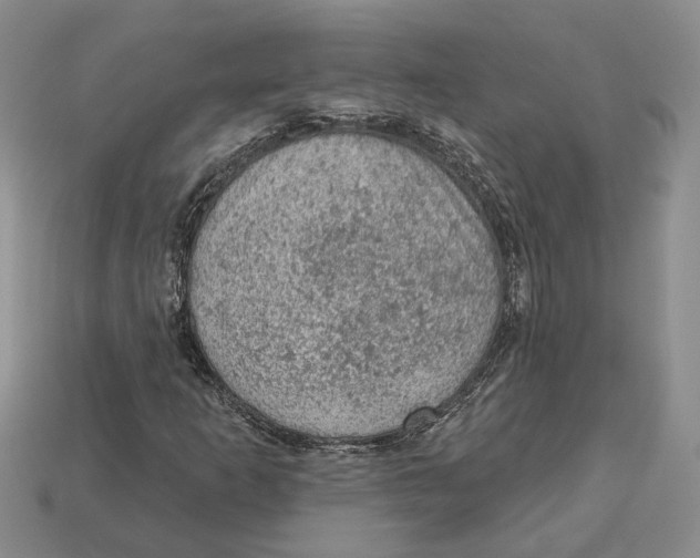 X0000112781253200909101605