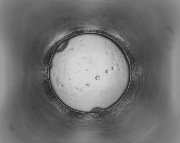 X0000112781255200909101605