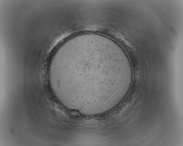 X0000112781256200909101605