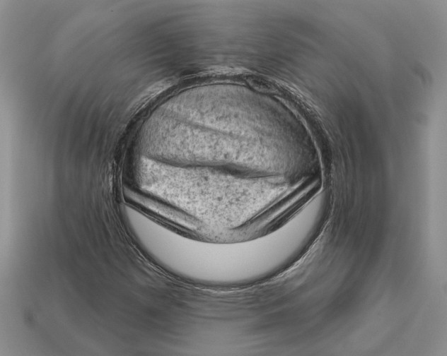 X0000112781257200909101605