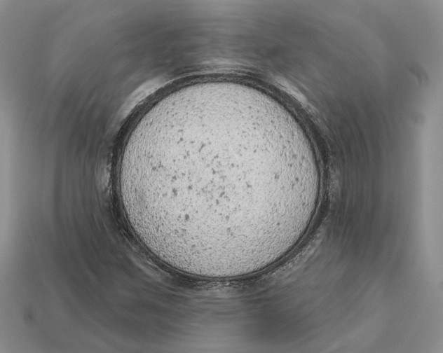 X0000112781259200909101605