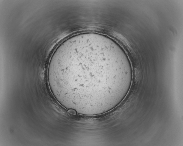 X0000112781260200909101605