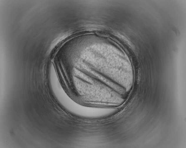 X0000112781261200909101605