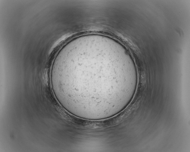 X0000112781262200909101605