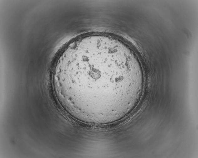 X0000112781263200909101605