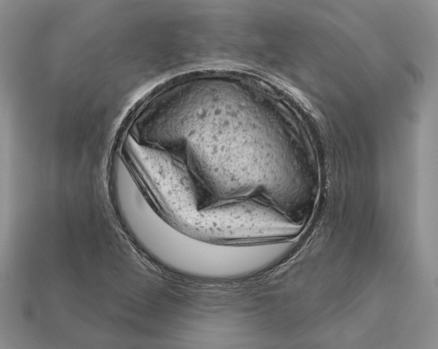 X0000112781264200909101605