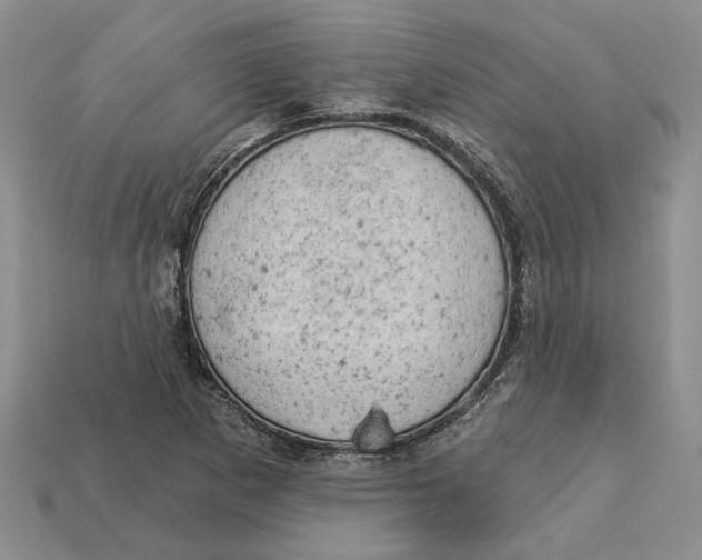 X0000112781265200909101605