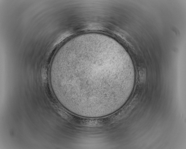 X0000112781266200909101605