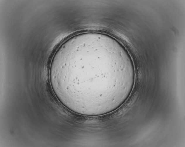 X0000112781267200909101605