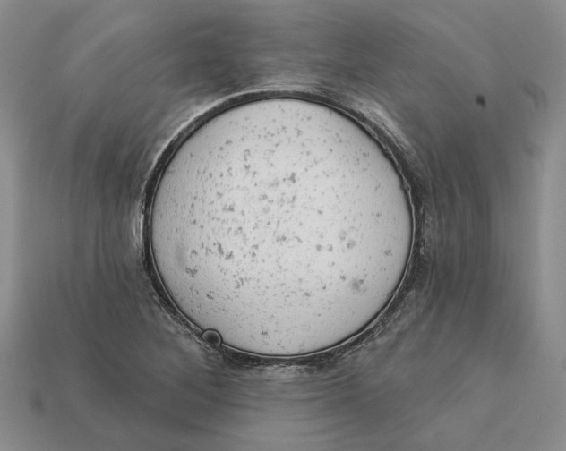 X0000112781268200909101605