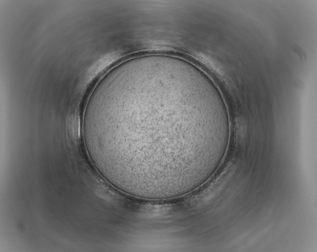 X0000112781269200909101605