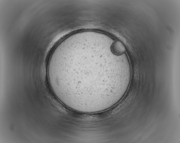 X0000112781270200909101605