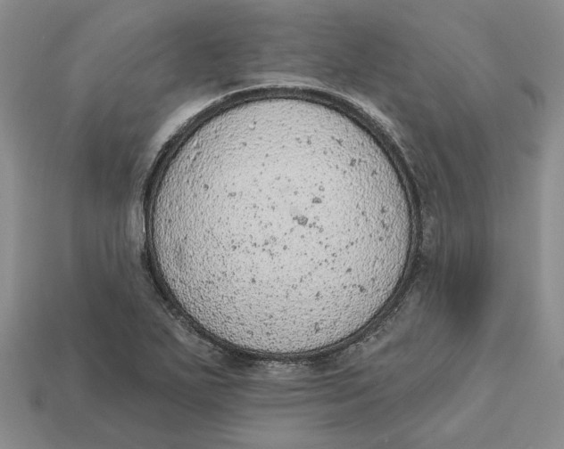 X0000112781271200909101605