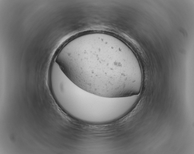 X0000112781272200909101605