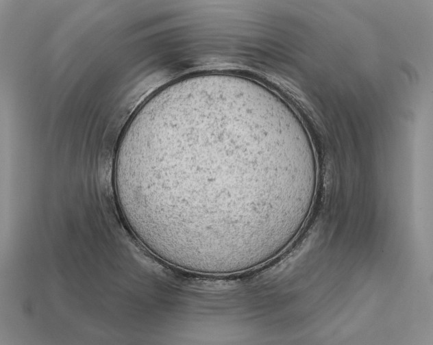 X0000112781273200909101605