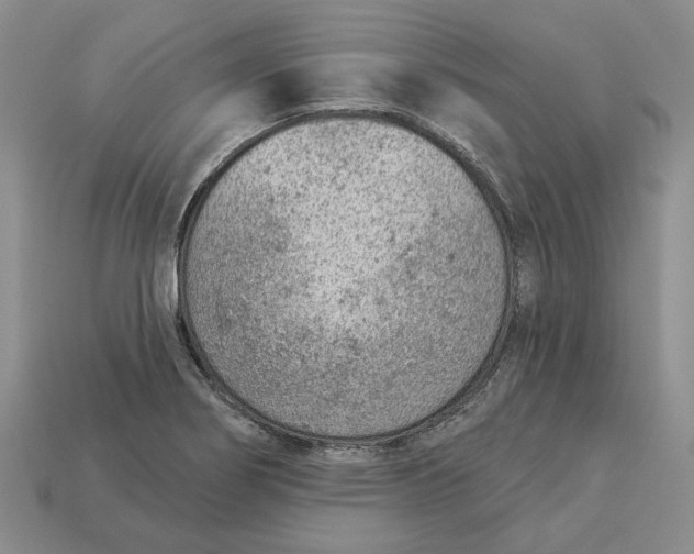 X0000112781274200909101604